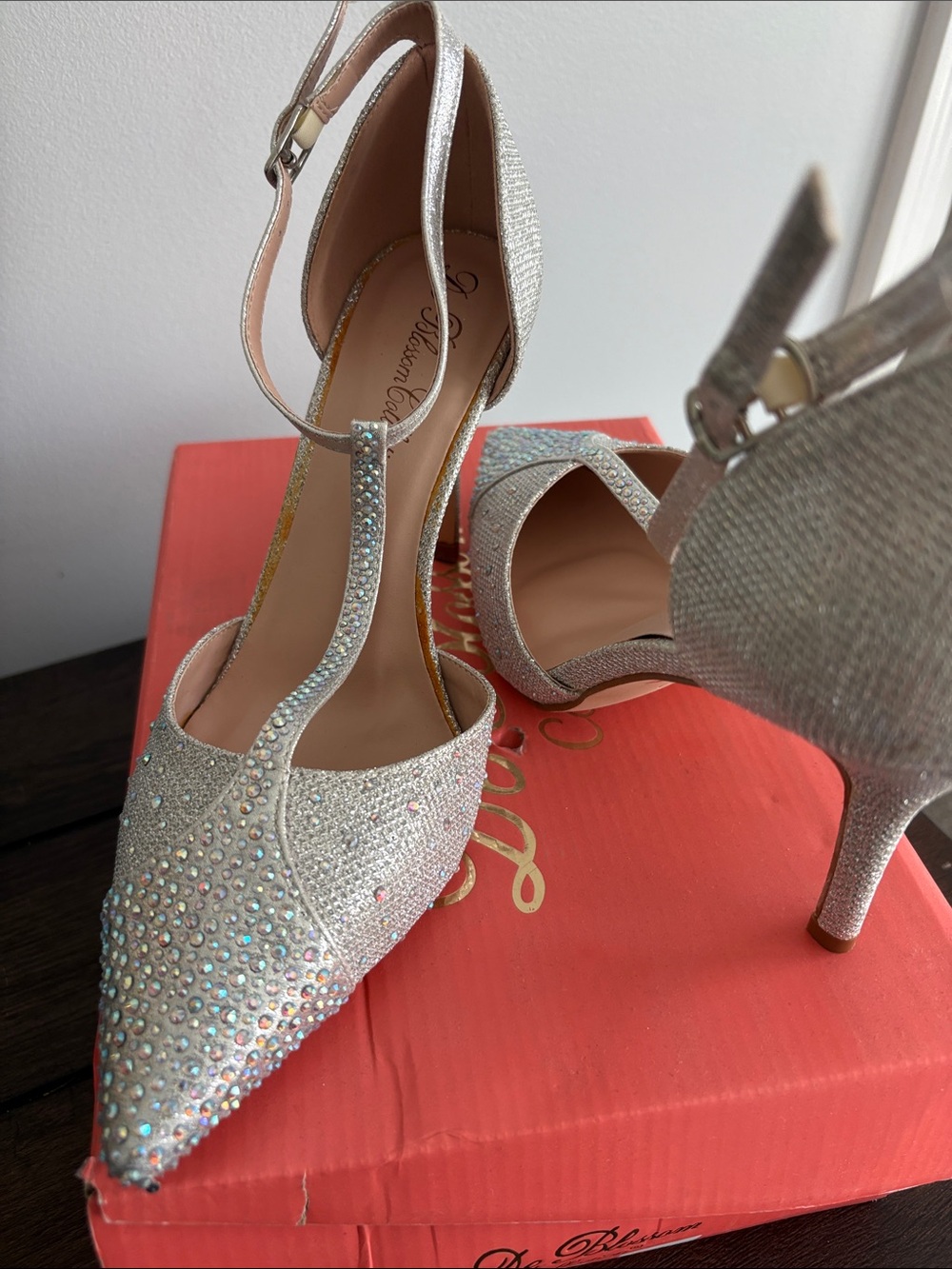 De Blossom Collection Silver Crystal T-Strap Pointed Toe Heels